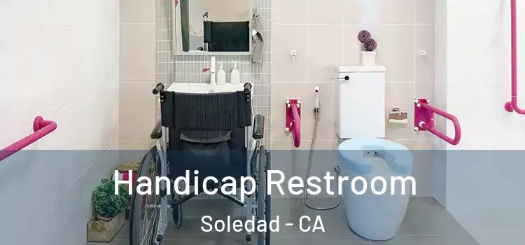 Handicap Restroom Soledad - CA