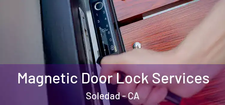 Magnetic Door Lock Services Soledad - CA