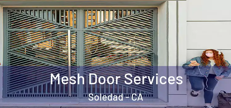 Mesh Door Services Soledad - CA
