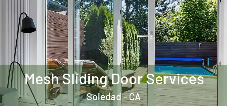 Mesh Sliding Door Services Soledad - CA